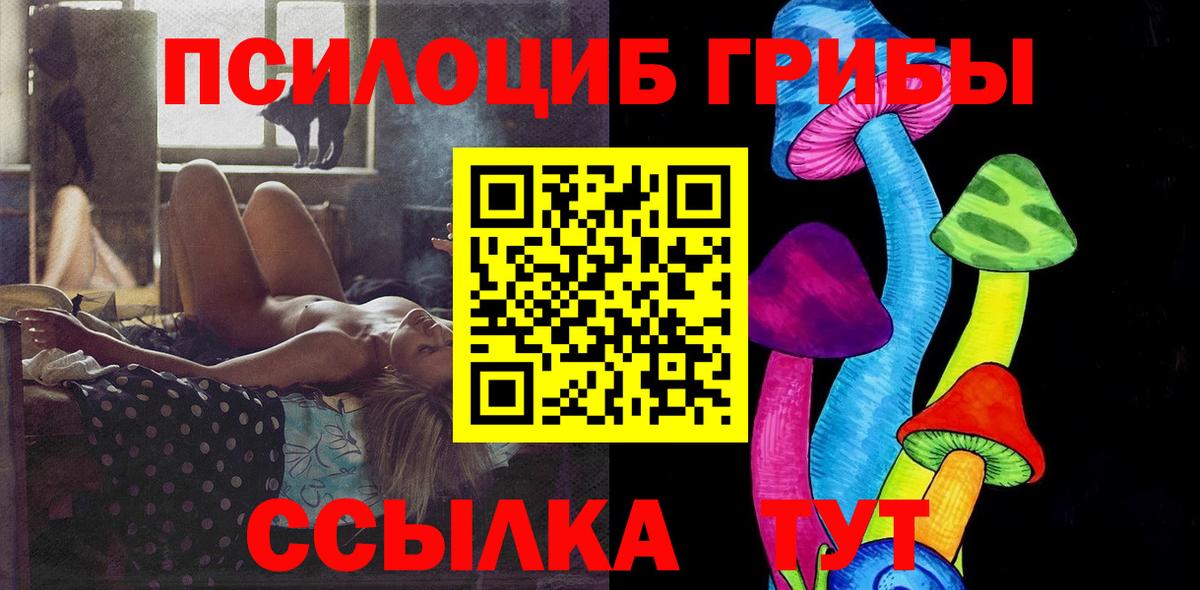 Псилоцибиновые грибы GOLDEN TEACHER Серов